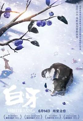 亚洲精品黄
